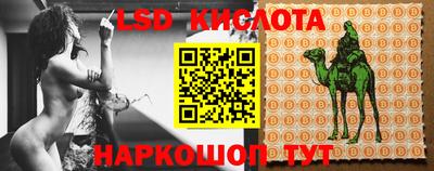 гидропоника Сланцы