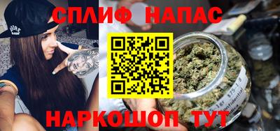 гидропоника Сланцы
