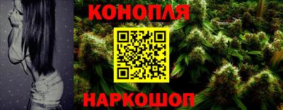 гидропоника Сланцы