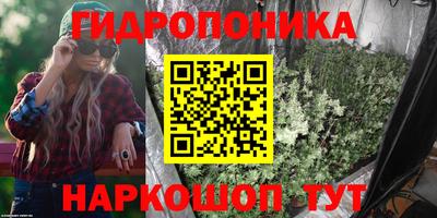 гидропоника Сланцы