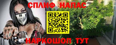 гидропоника Сланцы