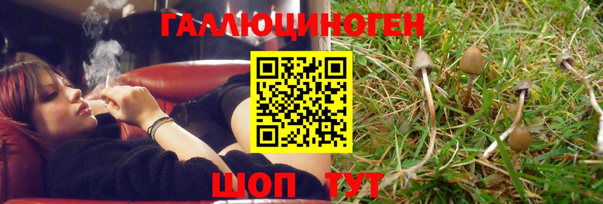 Псилоцибиновые грибы мухоморы Орёл